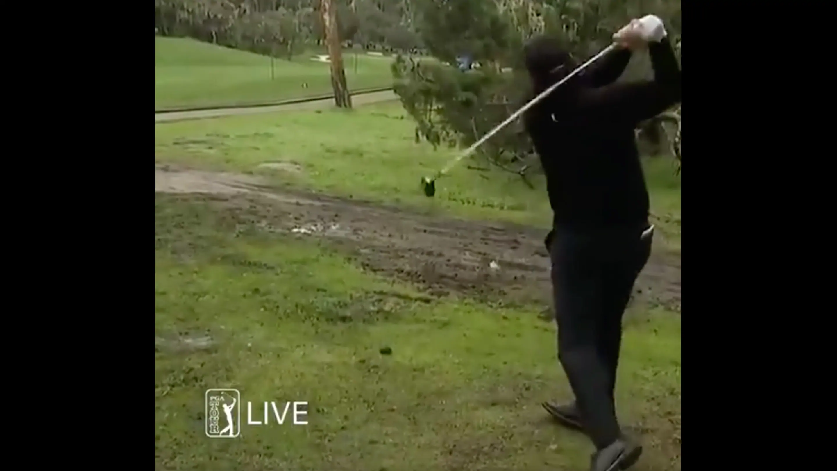 Classic Phil: Hits through trees, over water, makes birdie