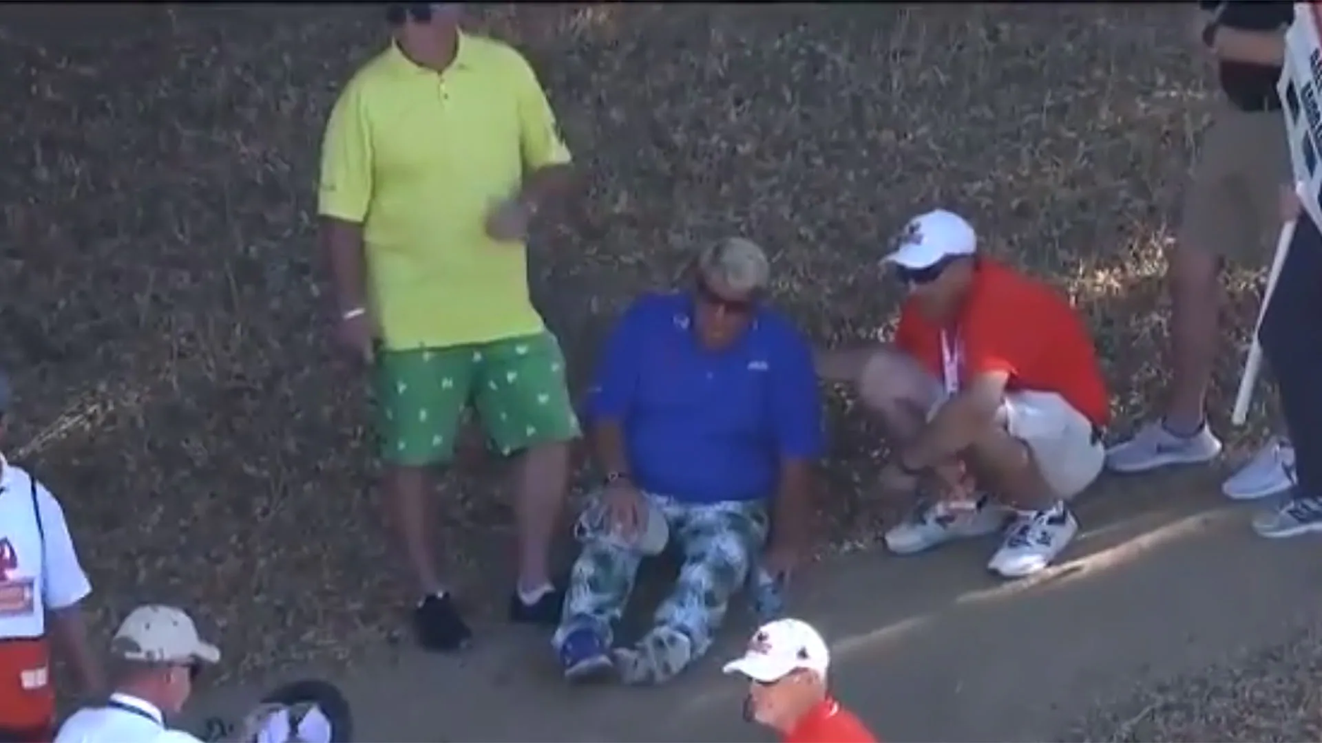 Daly collapses, WDs with scary knee injury