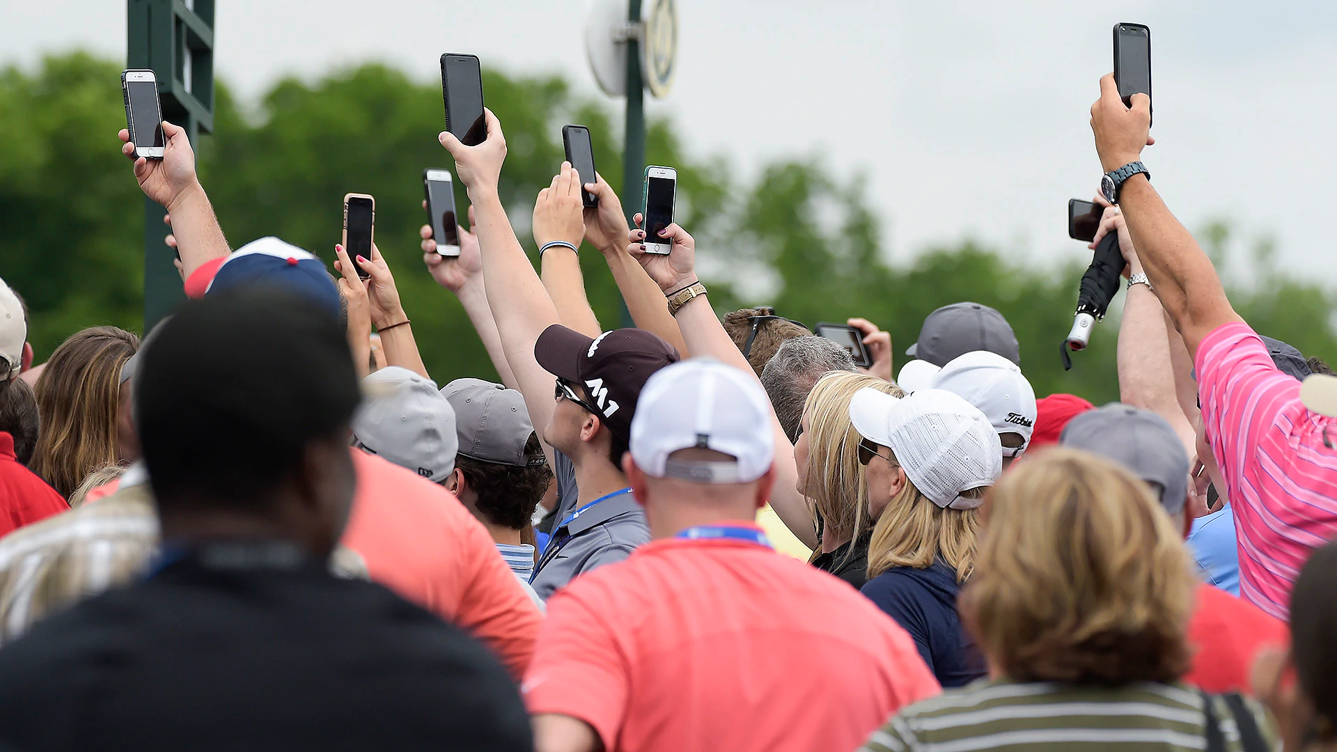 Must see: Insane crowd videos from Tiger's hole-out