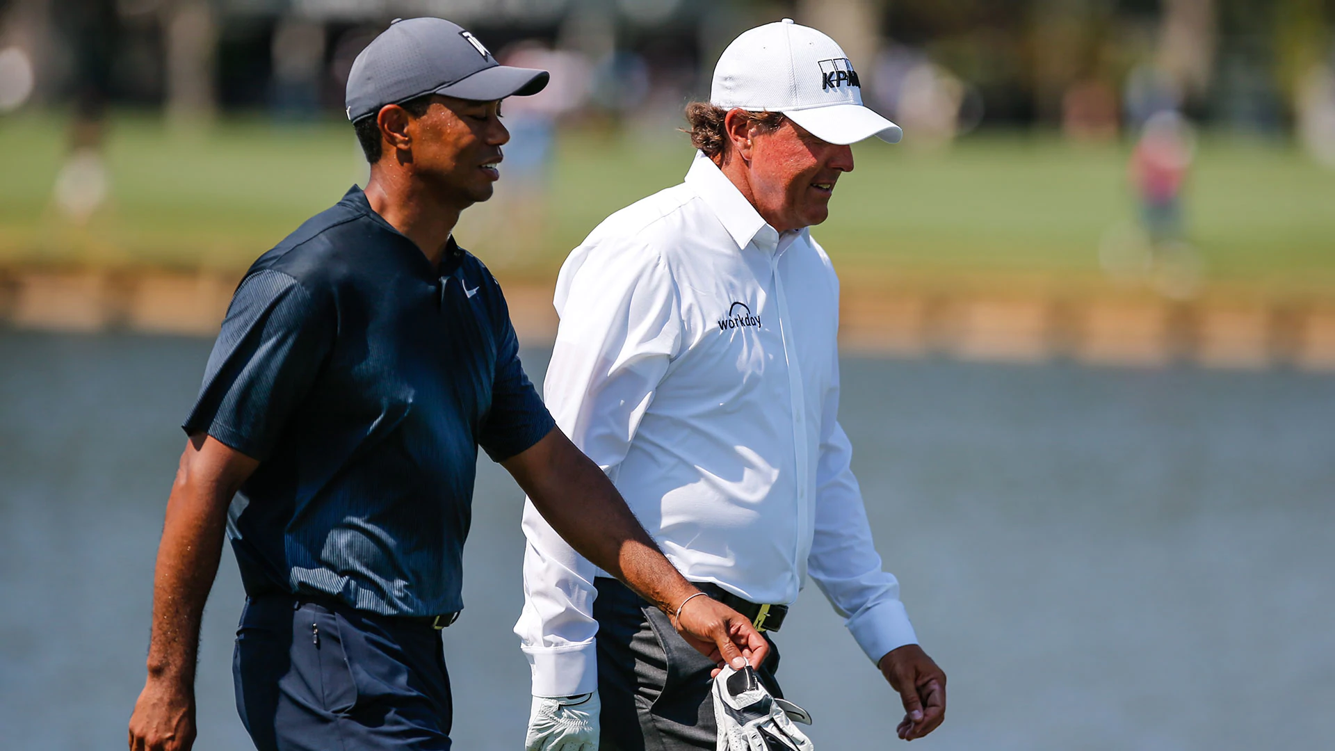 Reed: Tiger, Phil should put up own money for match