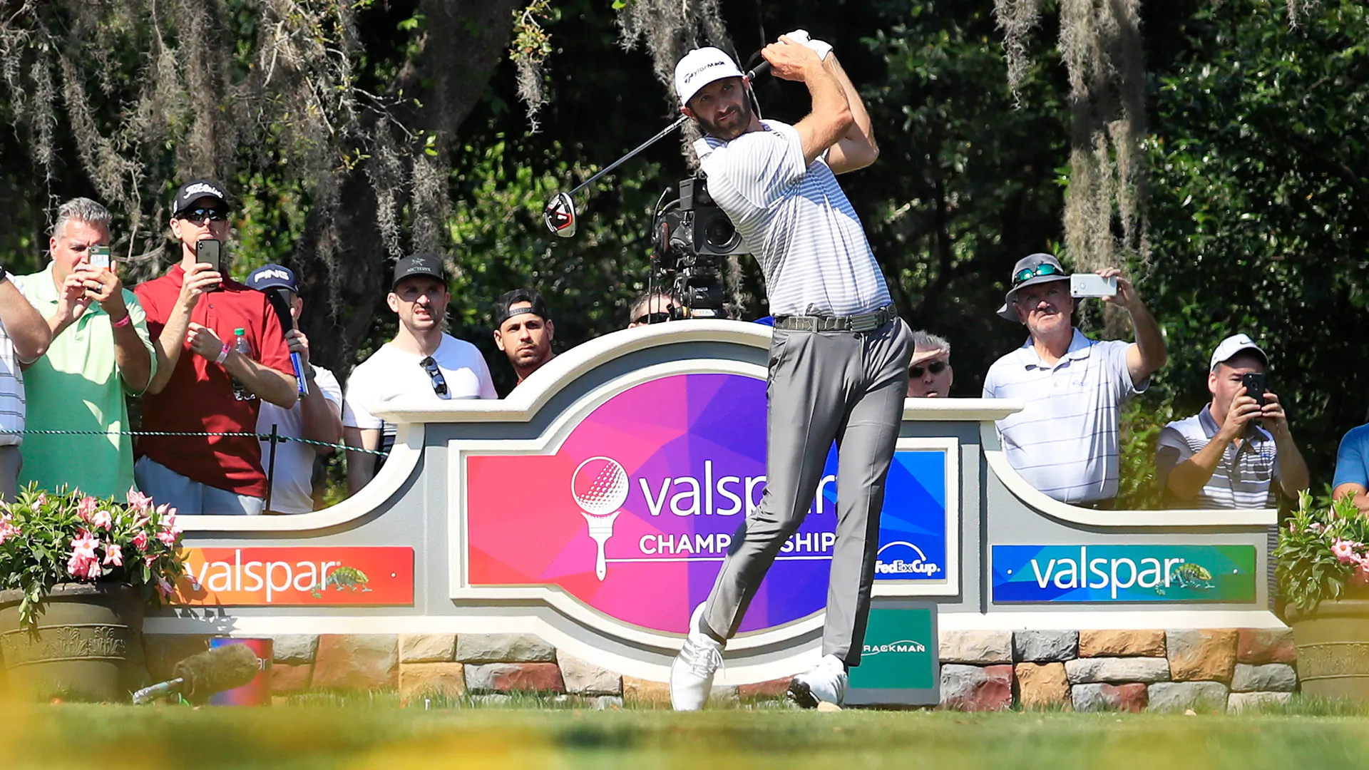 Solid start for DJ in 'tricky' conditions at Valspar