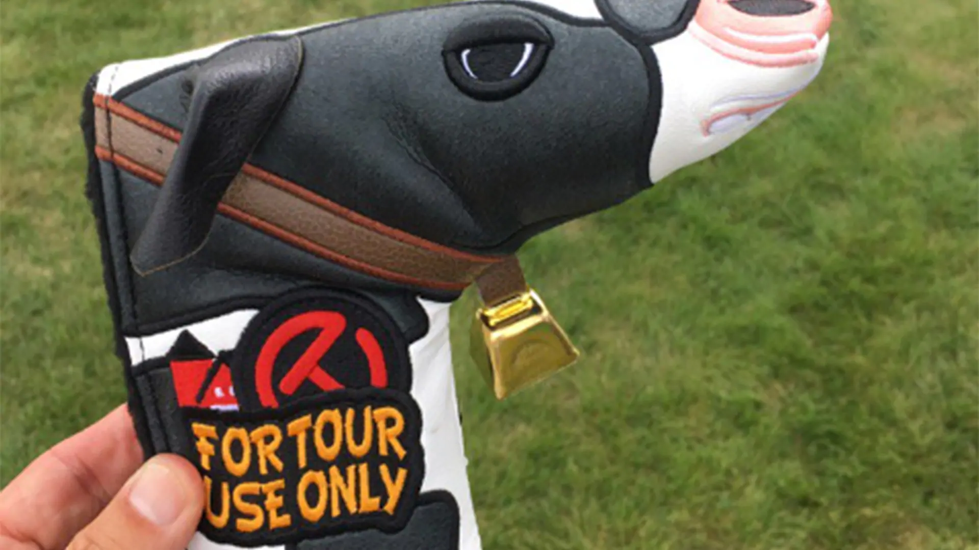 U.S. Open cow-themed head covers are amazing