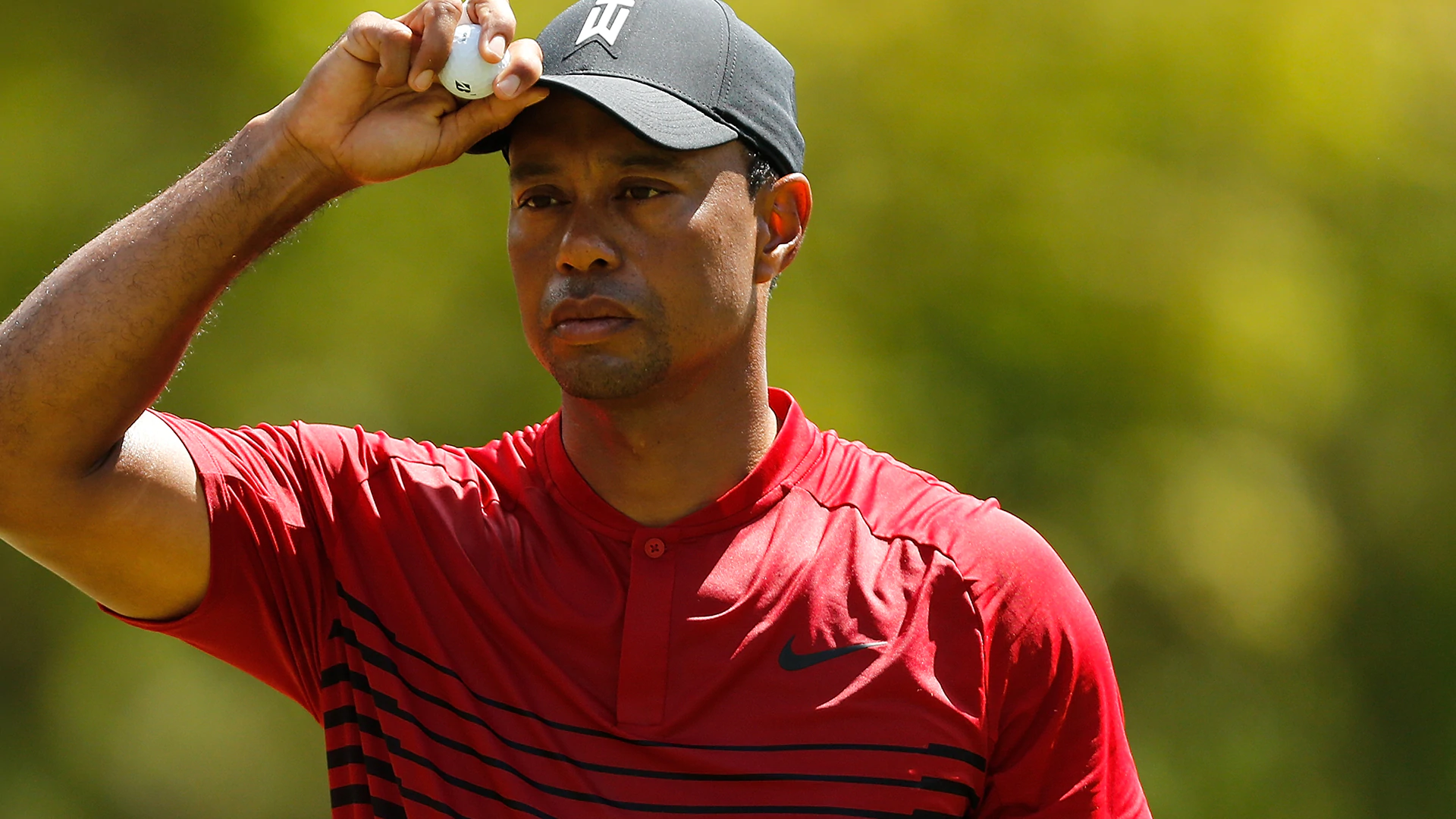 Valspar purse payout: Another half-million to Tiger's total