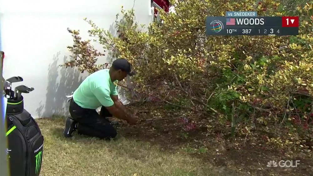 Watch: Tiger hits incredible recovery shot, left-handed from the bushes