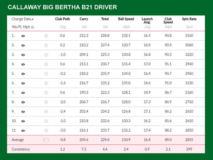 Callaway Big Bertha B21 Driver