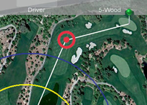 WeGolf Golf GPS app Review