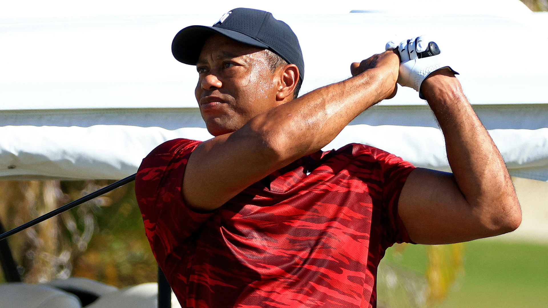 Could Tiger be unveiling new TaylorMade driver at PNC Championship?